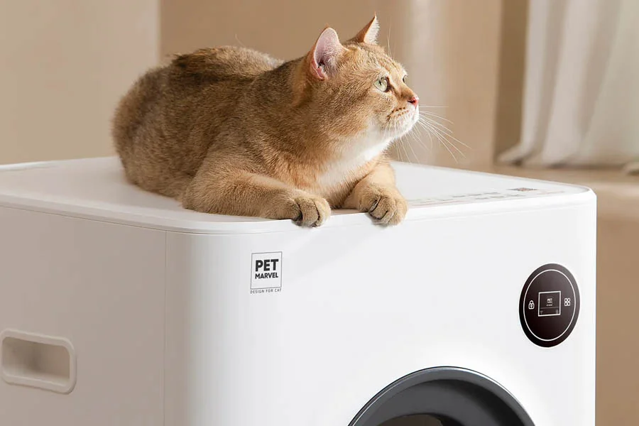 best cat litter box for odor