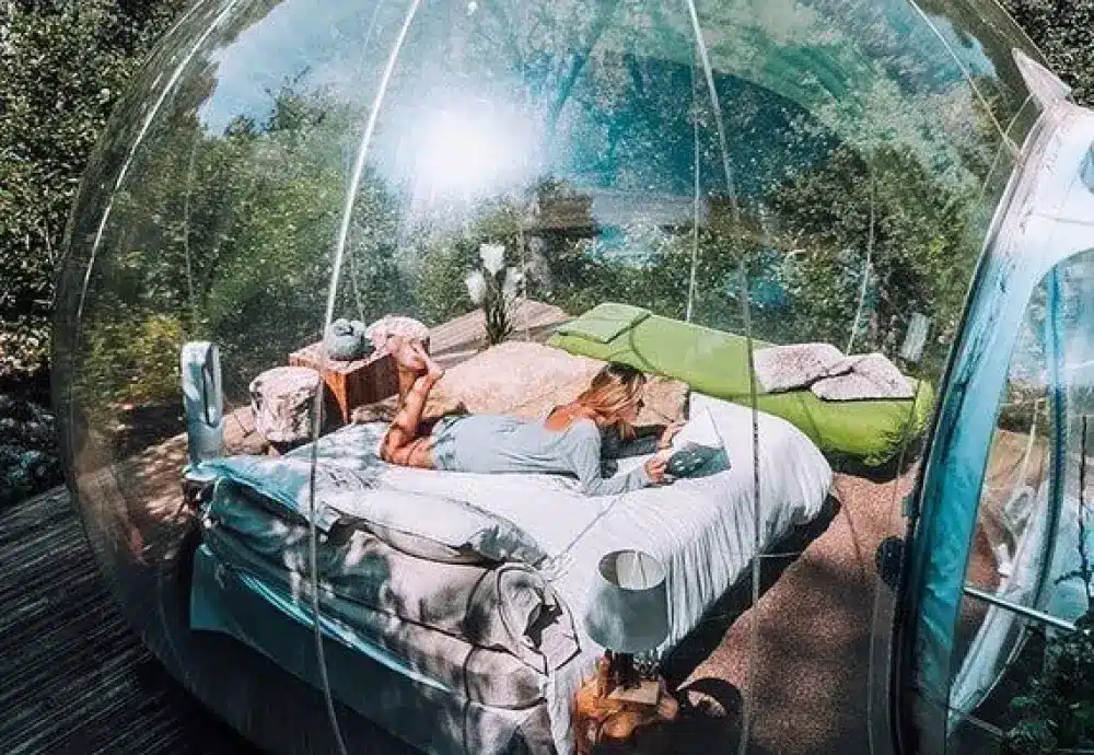 stargaze bubble tent