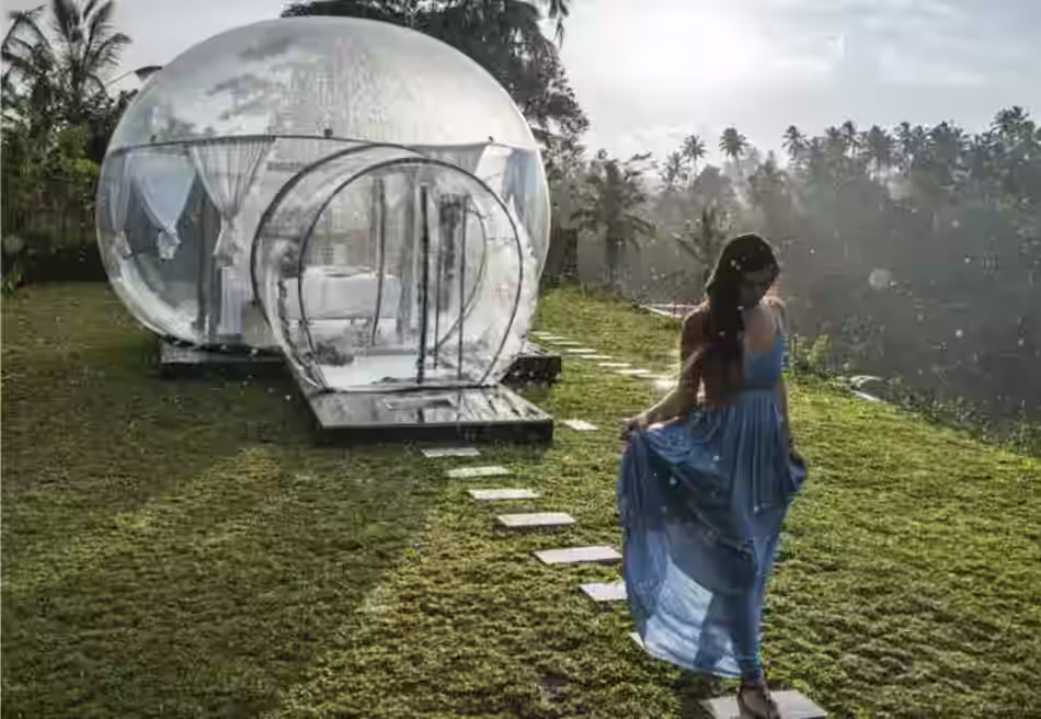sun clear bubble tent